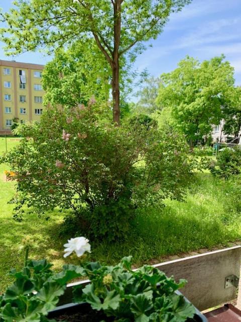 Apartman Snyt Primka オロモウツ エクステリア 写真