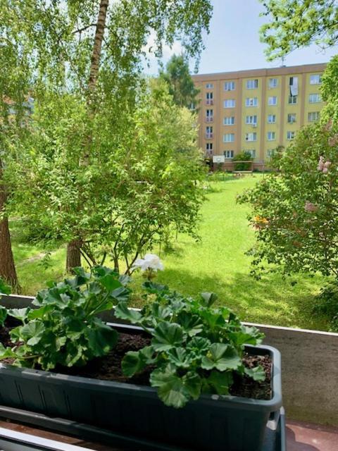 Apartman Snyt Primka オロモウツ エクステリア 写真